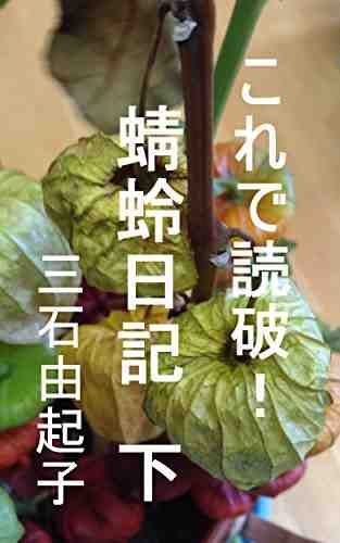 これで読破! 蜻蛉日記 3巻