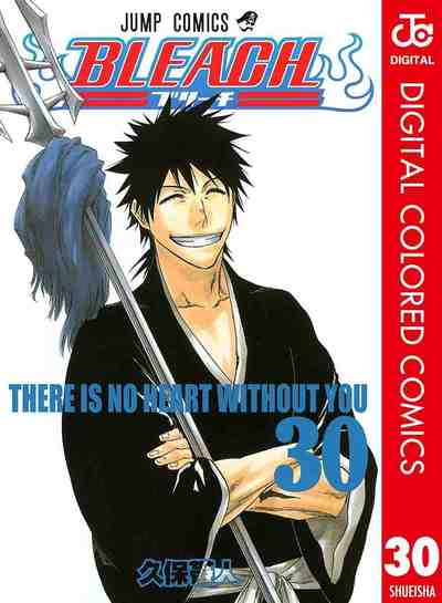 BLEACH カラー版 30巻