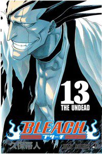 BLEACH-ブリーチ- 13巻