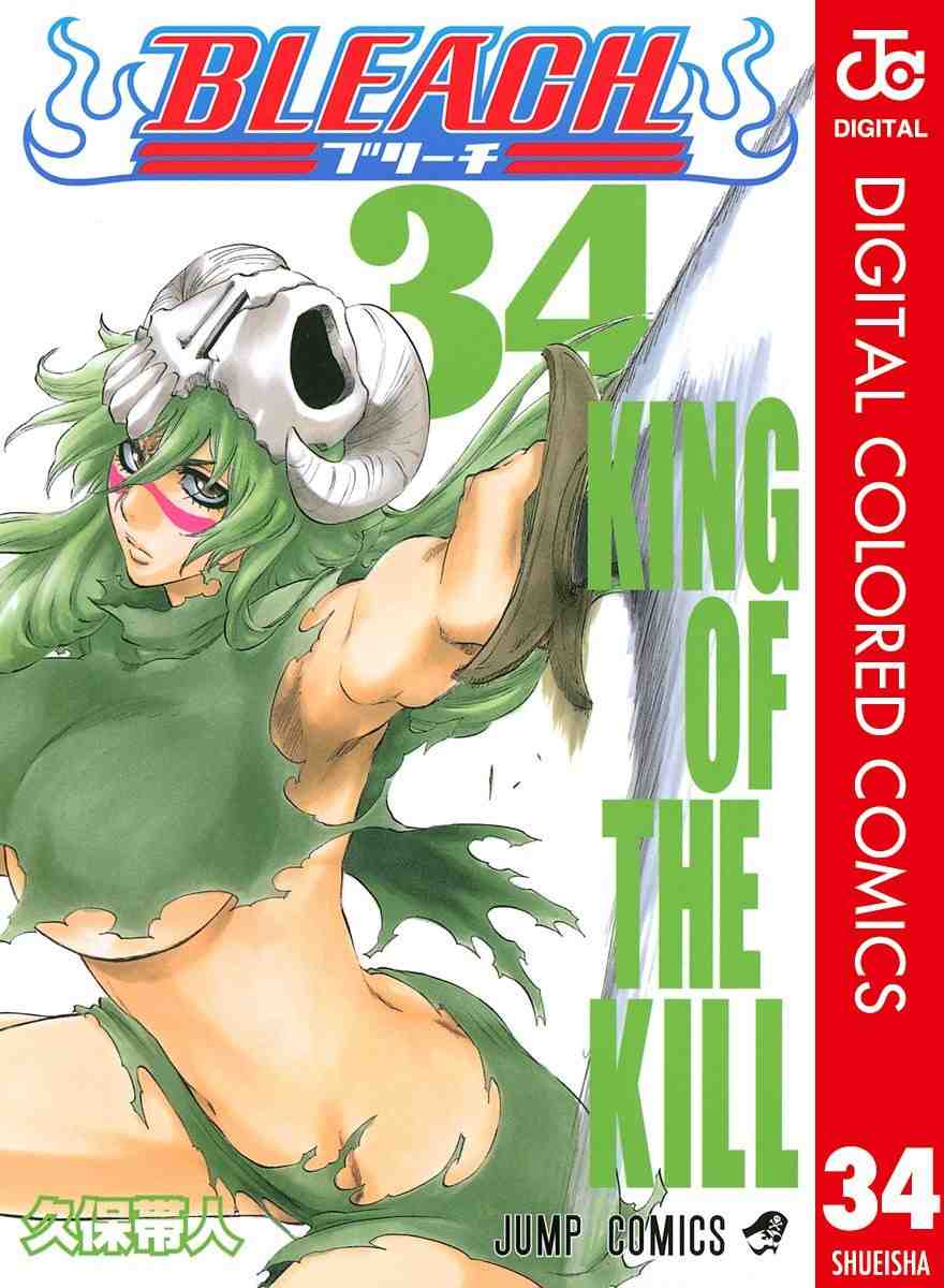 BLEACH カラー版 34巻