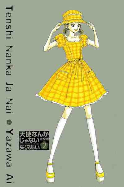 天使なんかじゃない -完全版- 2巻