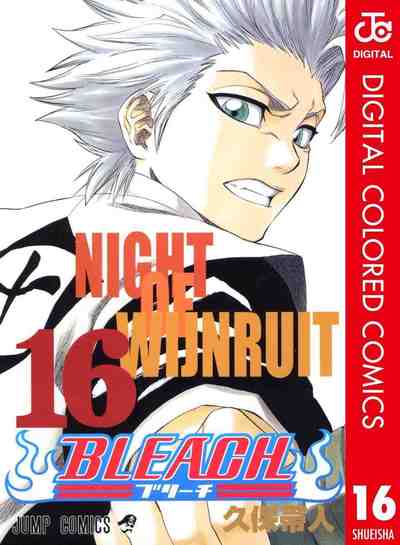 BLEACH カラー版 16巻