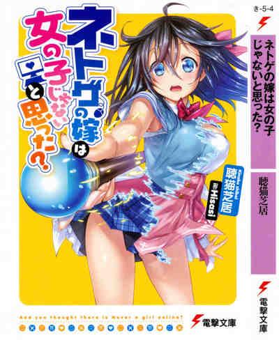 ネトゲの嫁は女の子じゃないと思った?  1巻