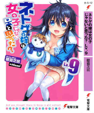 ネトゲの嫁は女の子じゃないと思った? 9巻