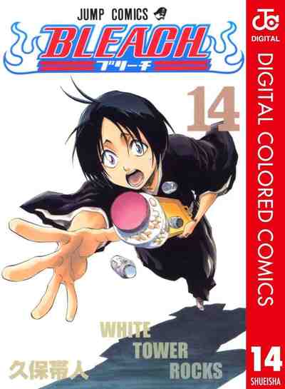BLEACH カラー版 14巻