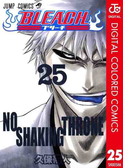 BLEACH カラー版 25巻