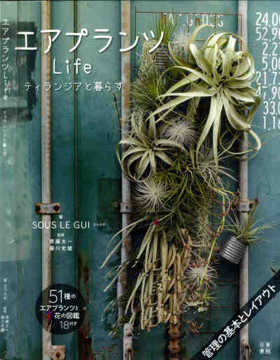 エアプランツLife