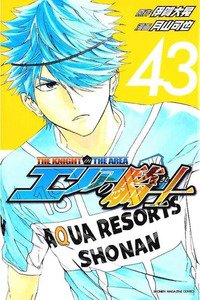 エリアの騎士 43巻
