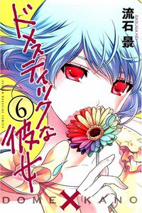 ドメスティックな彼女 6巻