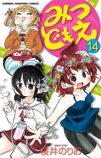みつどもえ 14巻