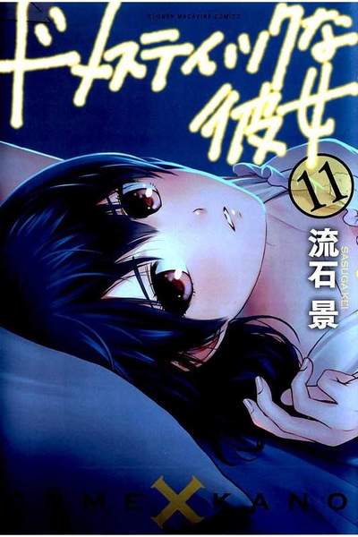 ドメスティックな彼女　11巻