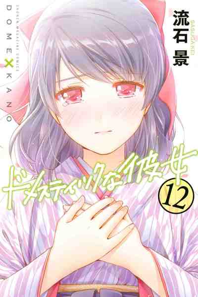ドメスティックな彼女 12巻