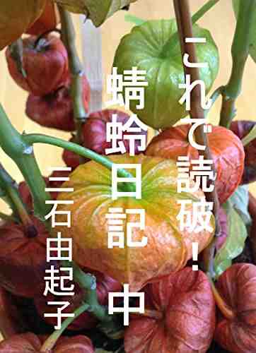 これで読破! 蜻蛉日記 2巻