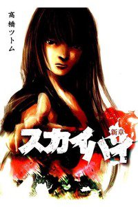 スカイハイ新章  1巻