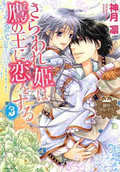 さらわれ姫は鷹の王に恋をする 3巻