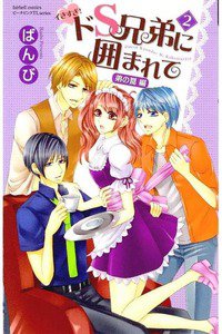 イきすぎ!ドS兄弟に囲まれて 　2巻