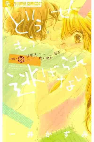 どうせもう逃げられない  2巻