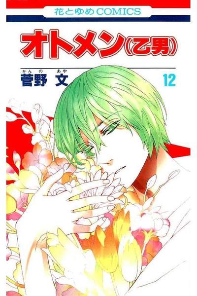 オトメン(乙男)  12巻