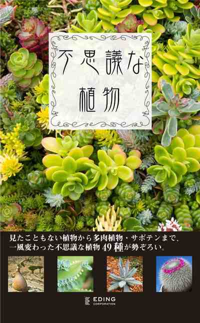 不思議な植物