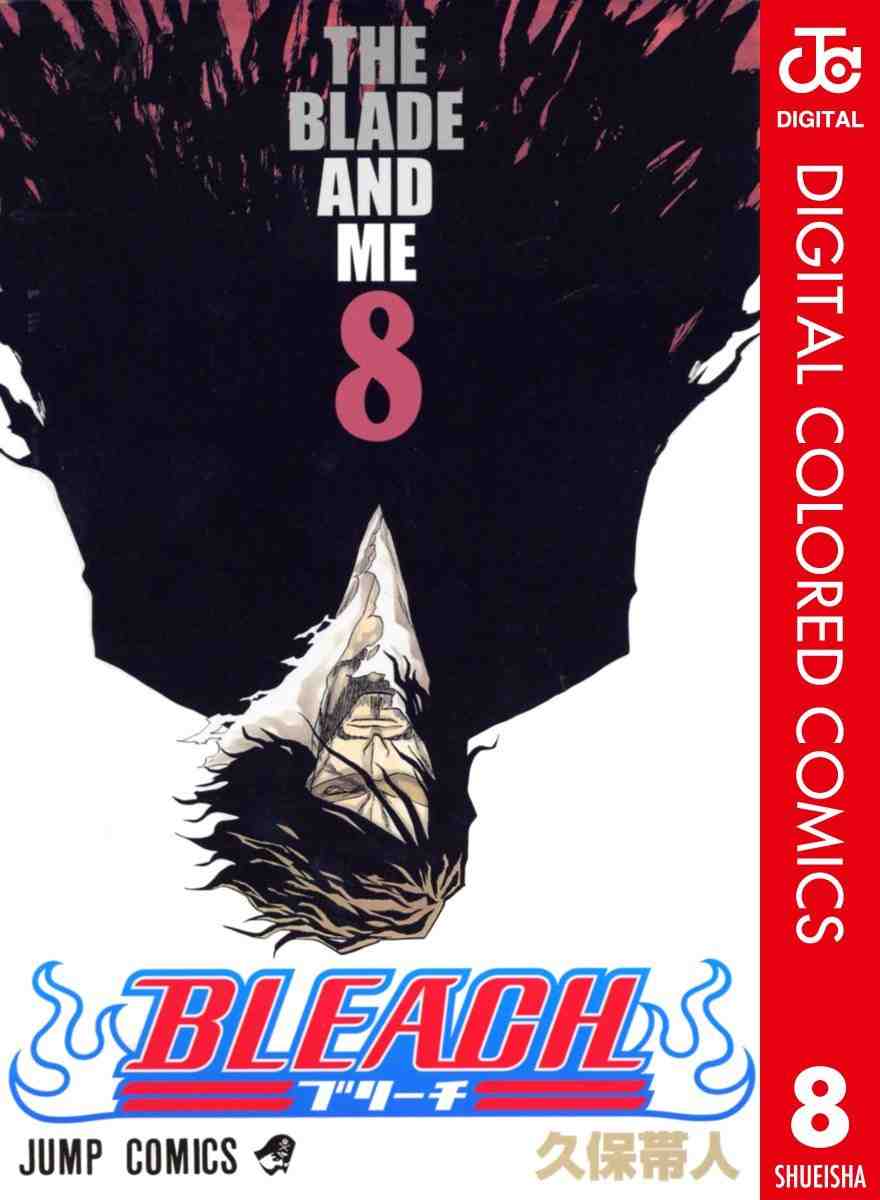 BLEACH カラー版 8巻