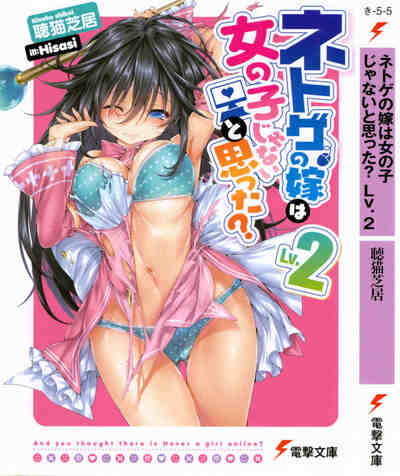 ネトゲの嫁は女の子じゃないと思った? 2巻