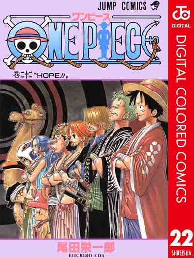 ONE PIECE カラー版 22巻