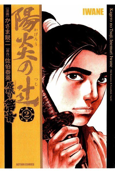 陽炎の辻 居眠り磐音  2巻
