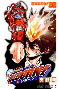家庭教師ヒットマンREBORN! 33巻