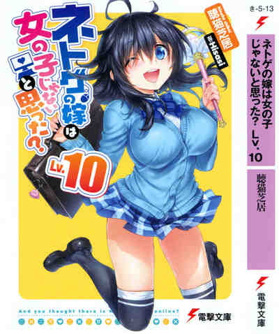 ネトゲの嫁は女の子じゃないと思った? 10巻