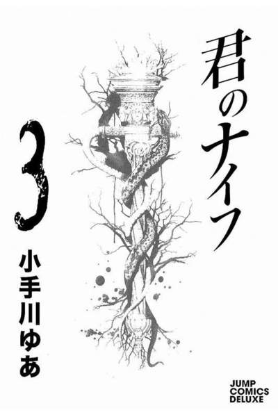君のナイフ 3巻