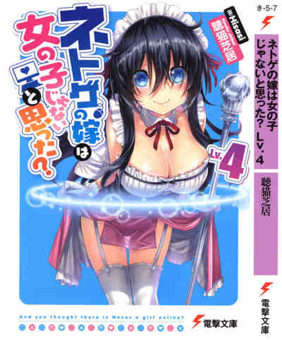 ネトゲの嫁は女の子じゃないと思った? 4巻