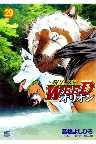 銀牙伝説WEEDオリオン 29巻