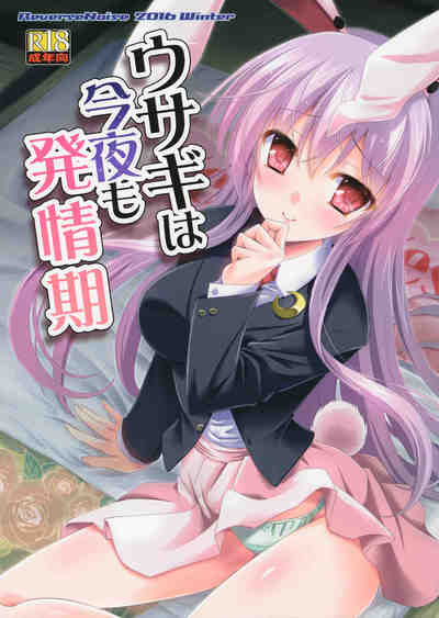 (C91) [Reverse Noise (やむっ)] ウサギは今夜も発情期 (東方Project)