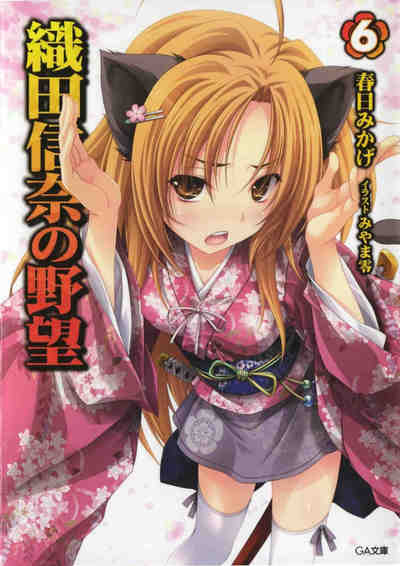 織田信奈の野望 全国版 6巻