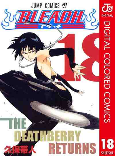 BLEACH カラー版  18巻