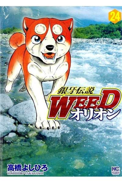 銀牙伝説WEEDオリオン 24巻