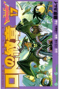 ロトの紋章  ドラゴンクエスト列伝 17巻