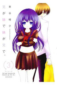 兄が妹で妹が兄で  3巻