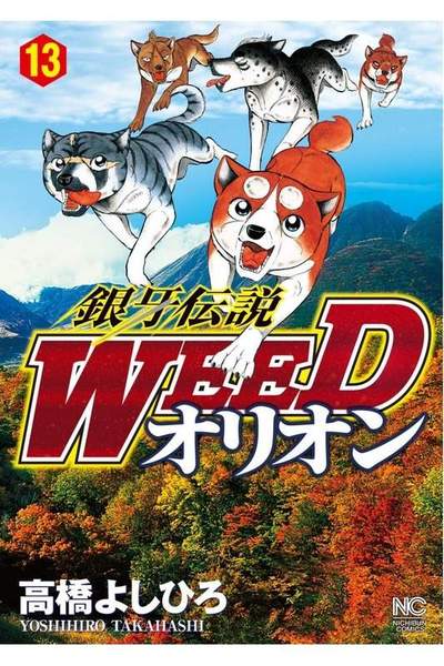 銀牙伝説WEEDオリオン 13巻