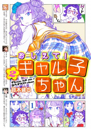おしえて!ギャル子ちゃん 2巻