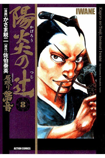 陽炎の辻 居眠り磐音  8巻