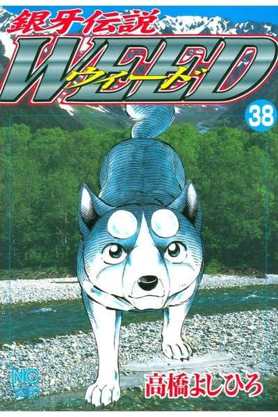銀牙伝説ウィード 38巻
