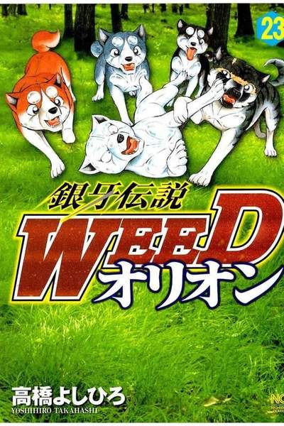 銀牙伝説WEEDオリオン 23巻
