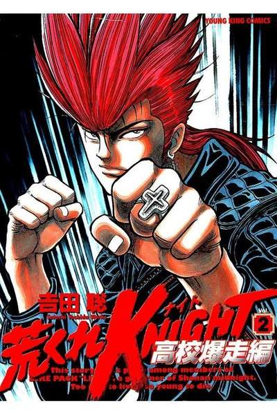 荒くれKNIGHT 高校爆走編  2巻