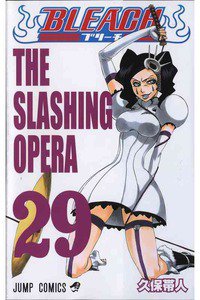 BLEACH-ブリーチ- 29巻