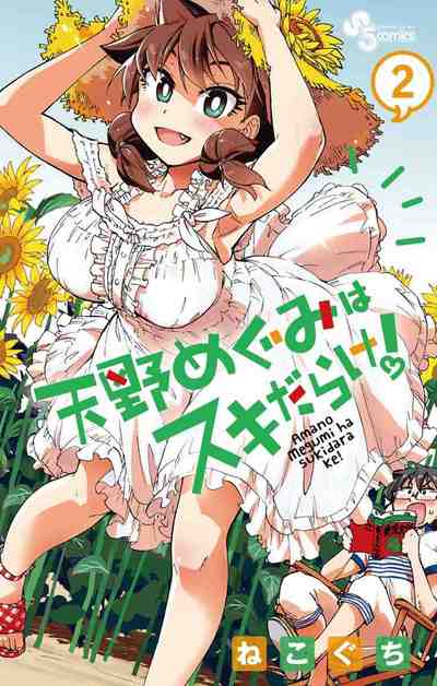 天野めぐみはスキだらけ! 2巻