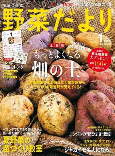 野菜だより 2017年1月号