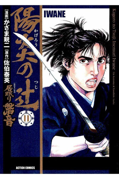 陽炎の辻 居眠り磐音  11巻