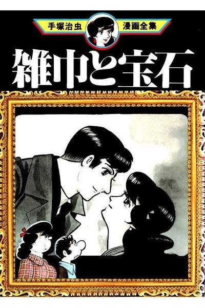 雑巾と宝石