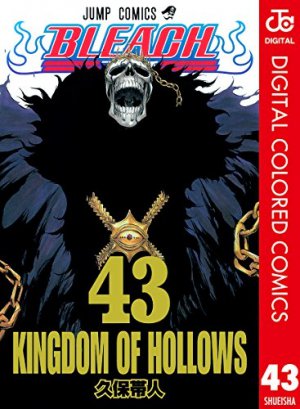 BLEACH カラー版 43巻